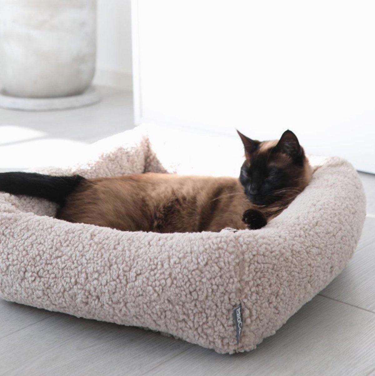 Panier doux pour chat - SENSO - Kasibe