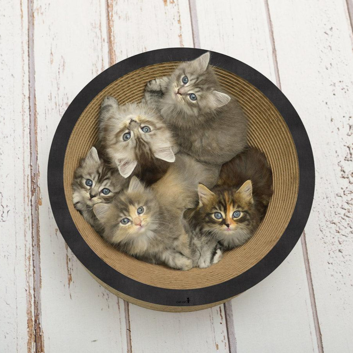 Panier en carton pour chat - COUPE CORBEILLE - Kasibe