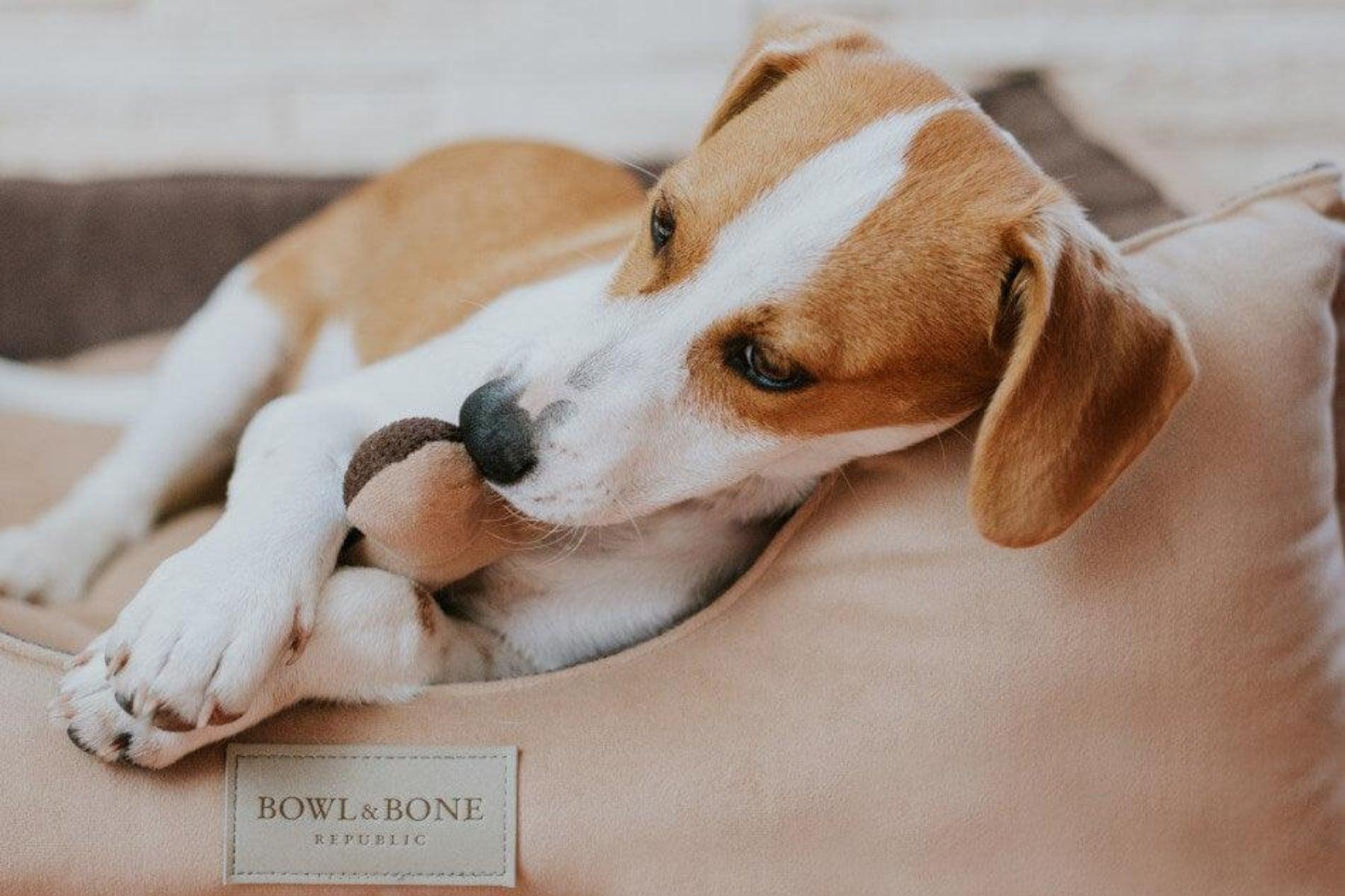 Panier moelleux pour chien - CLASSIC - Kasibe