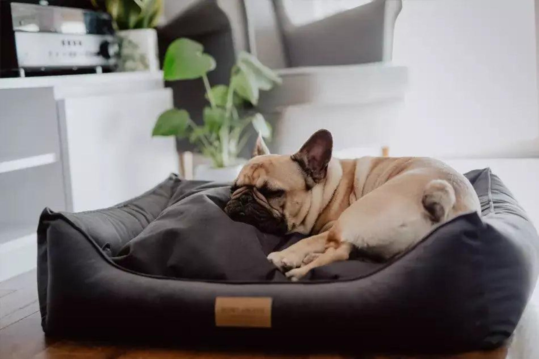 Panier moelleux pour chien - CLASSIC - Kasibe