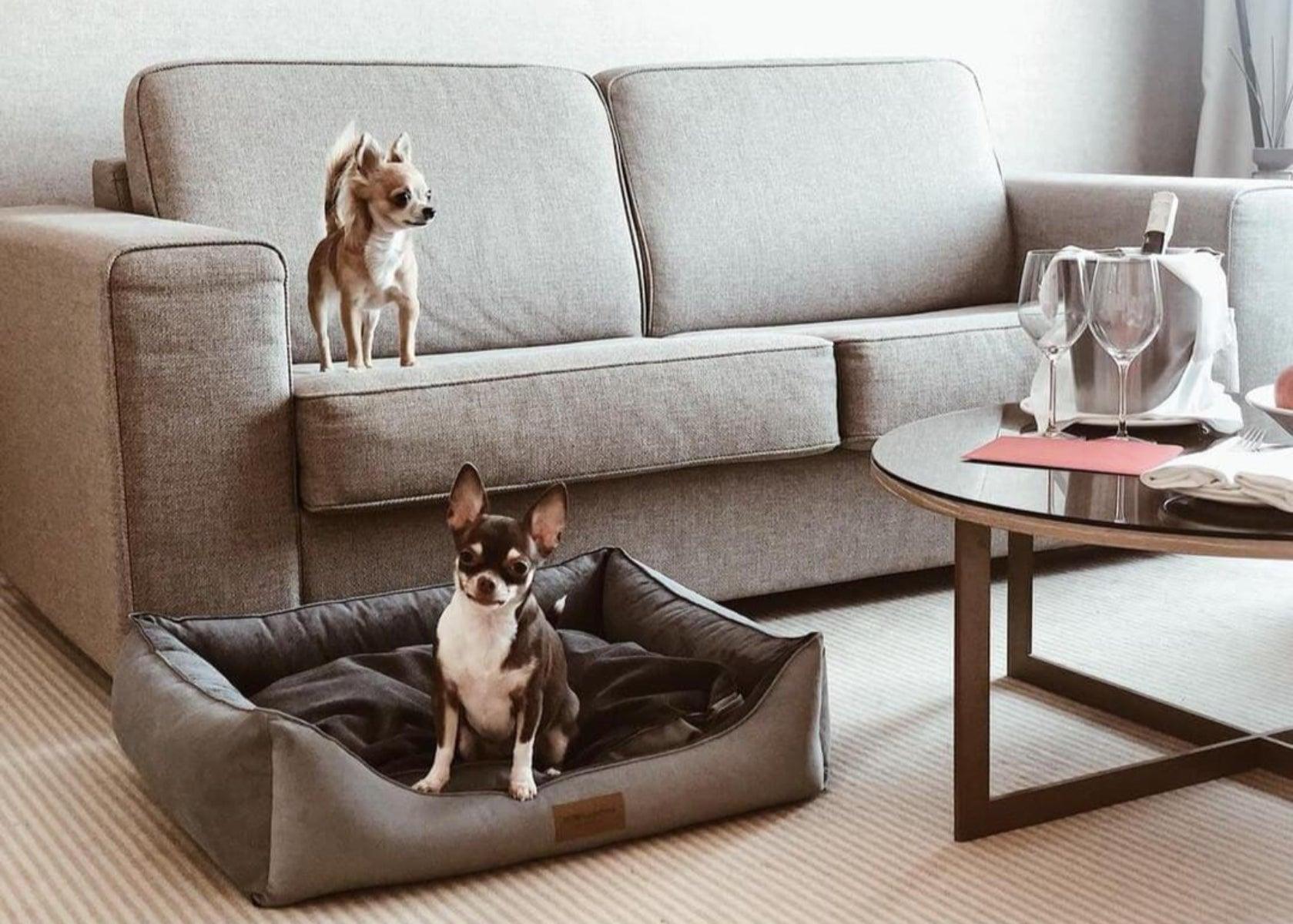 Panier moelleux pour chien - CLASSIC - Kasibe