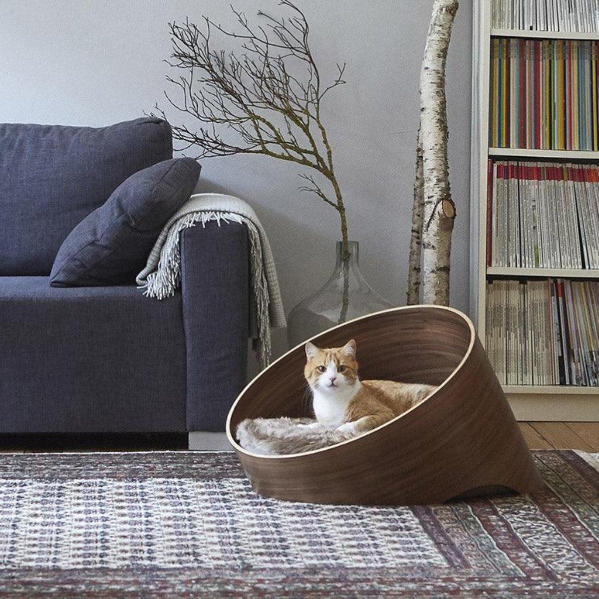 Panier pour chat design - COVO - Kasibe