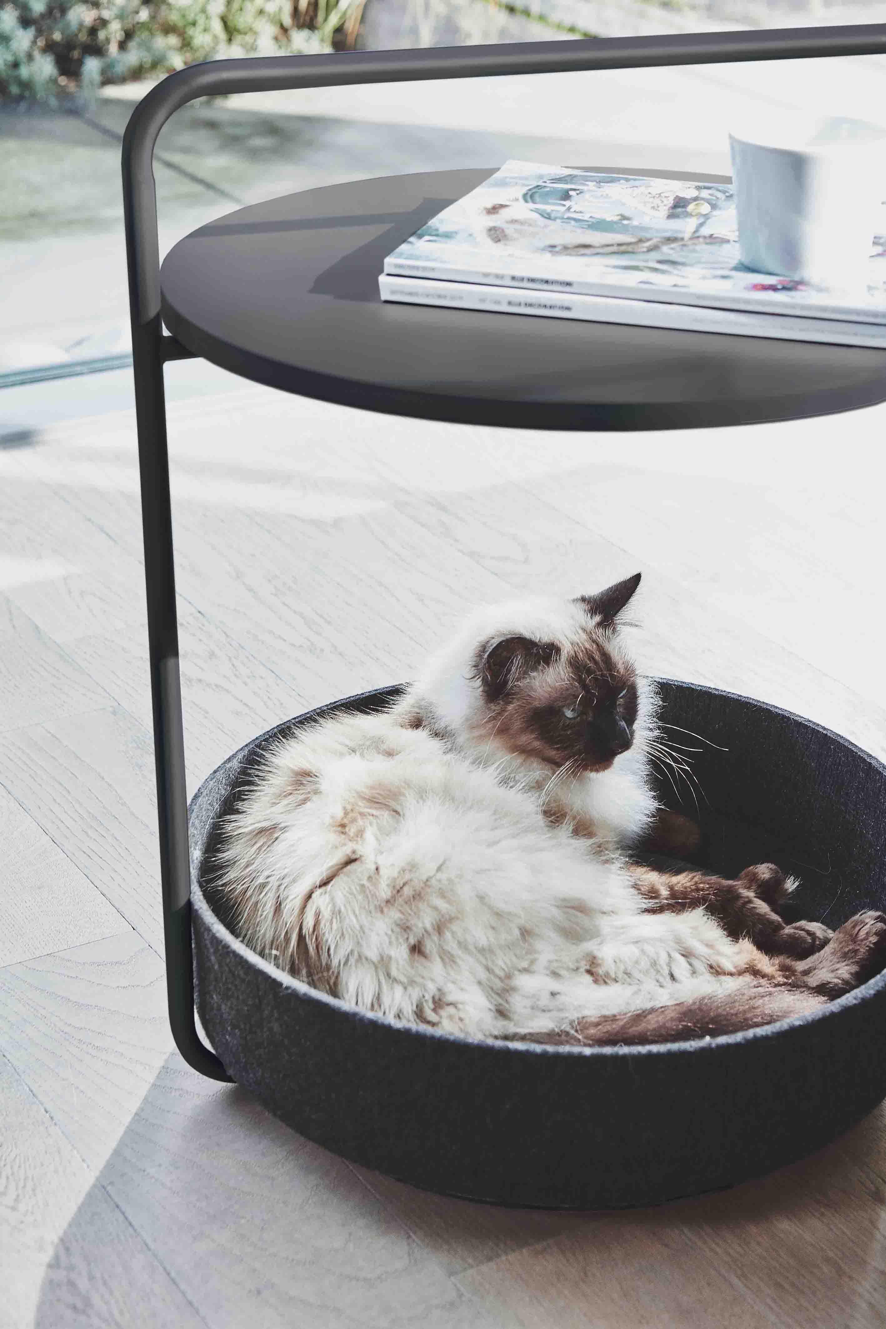 Panier pour chat écologique - TAVOLINO - Kasibe