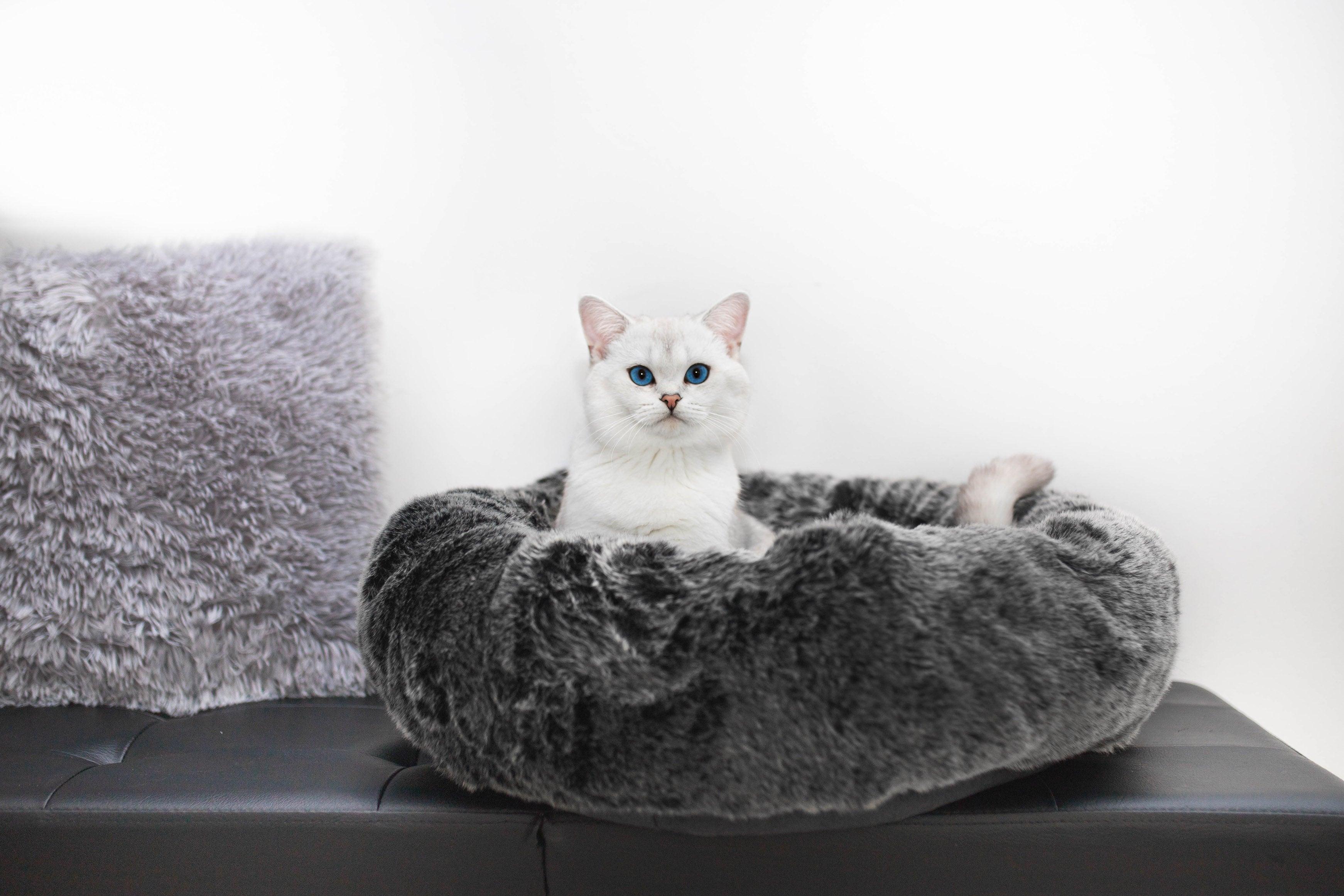 Panier pour chat en fausse fourrure - FELPA - Kasibe