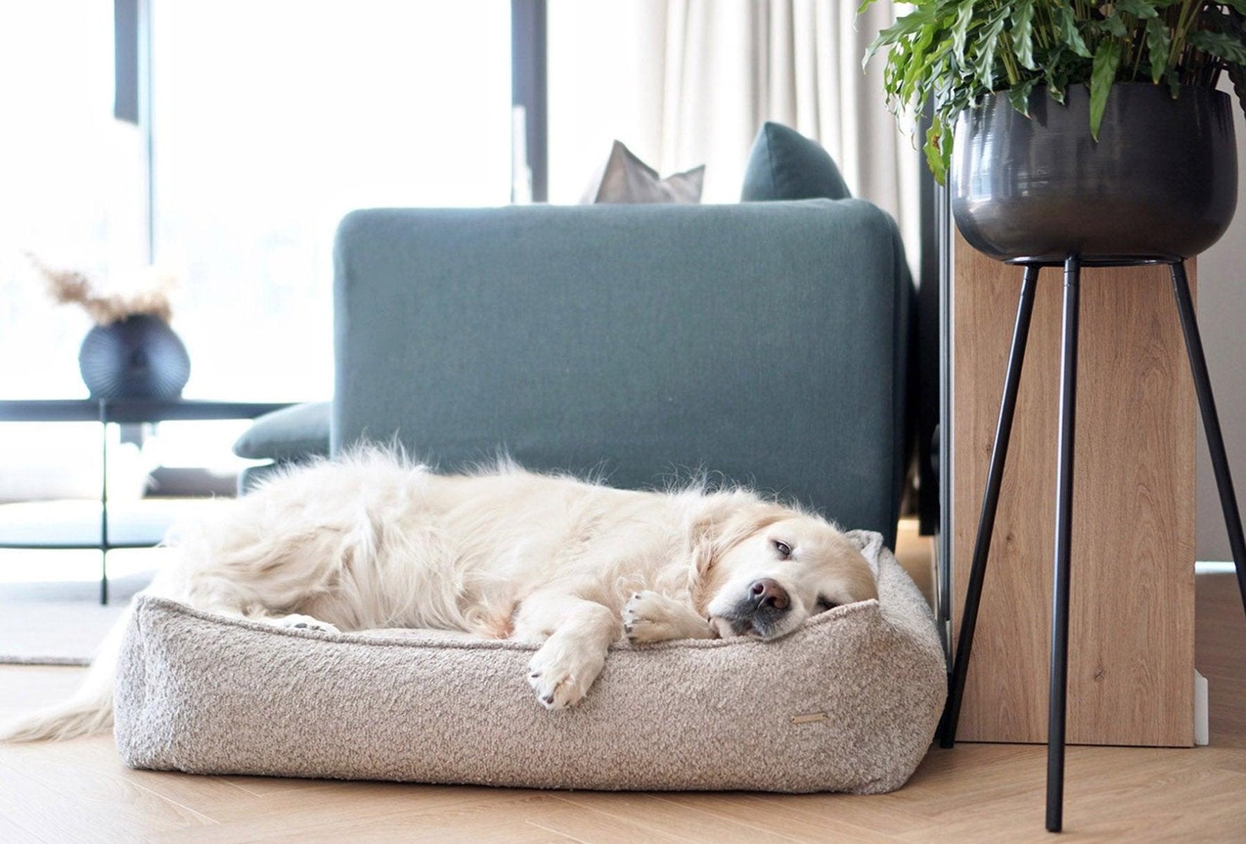 Panier pour chien anti stress - BUKLAA - Kasibe