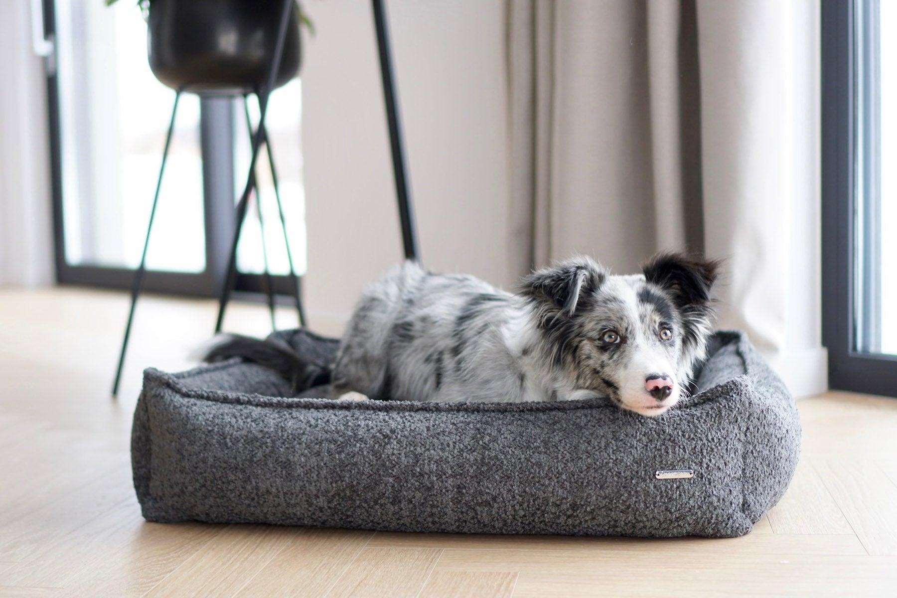 Panier pour chien anti stress - BUKLAA - Kasibe