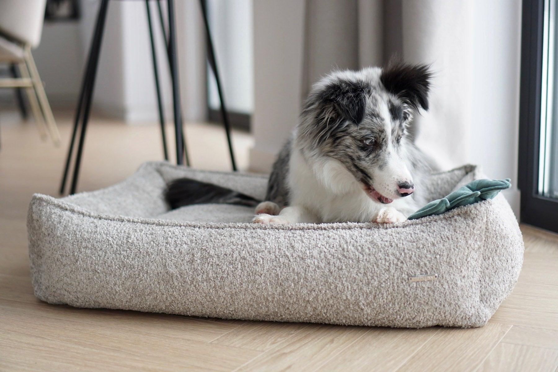 Panier pour chien anti stress - BUKLAA - Kasibe