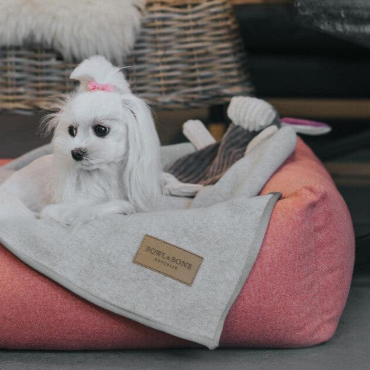 Panier pour chien classique - LOFT - Kasibe