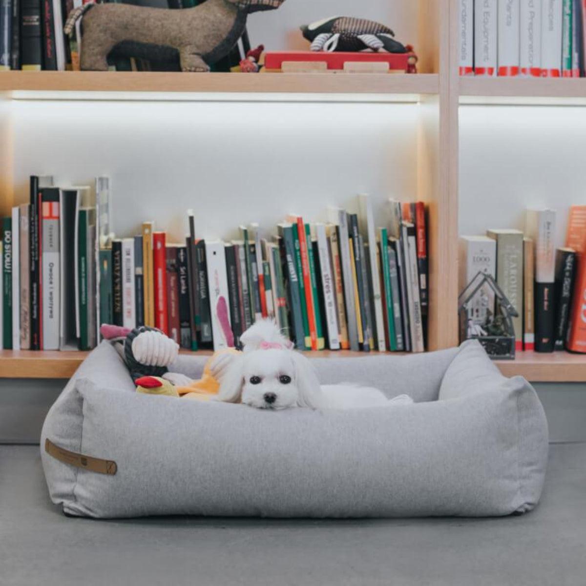 Panier pour chien classique - LOFT - Kasibe