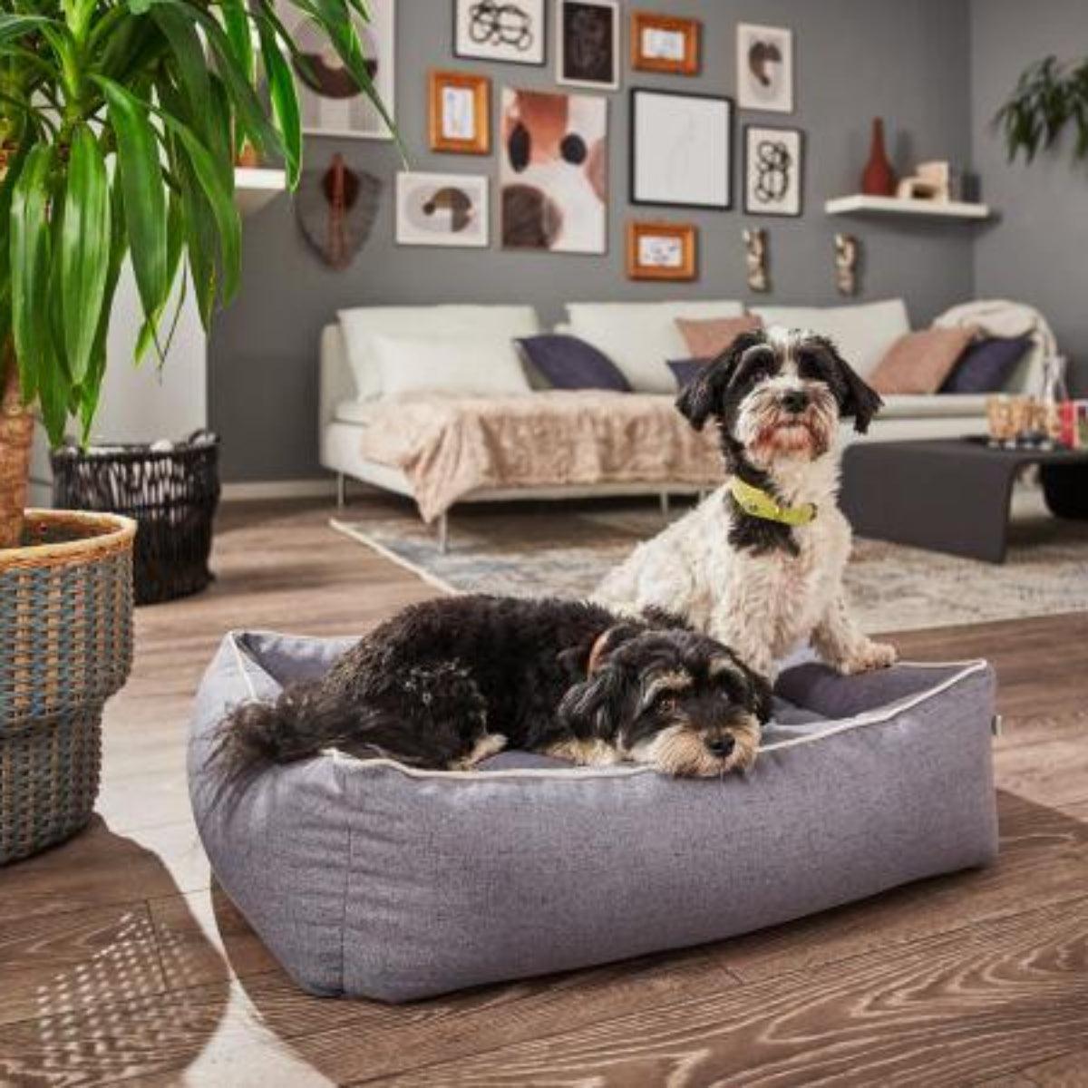 Panier pour chien de luxe - VITO - Kasibe