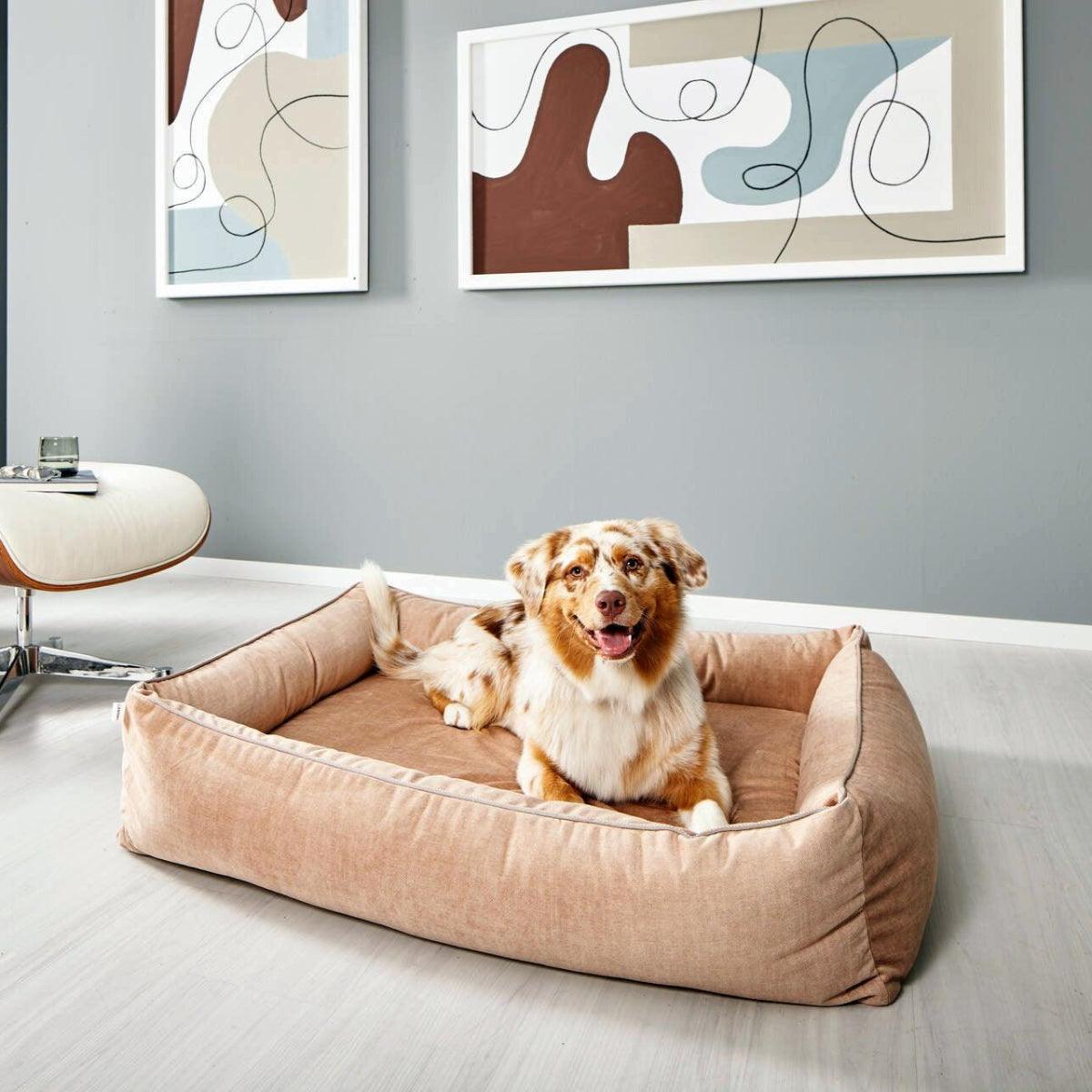 Panier pour chien design - GLAM - Kasibe