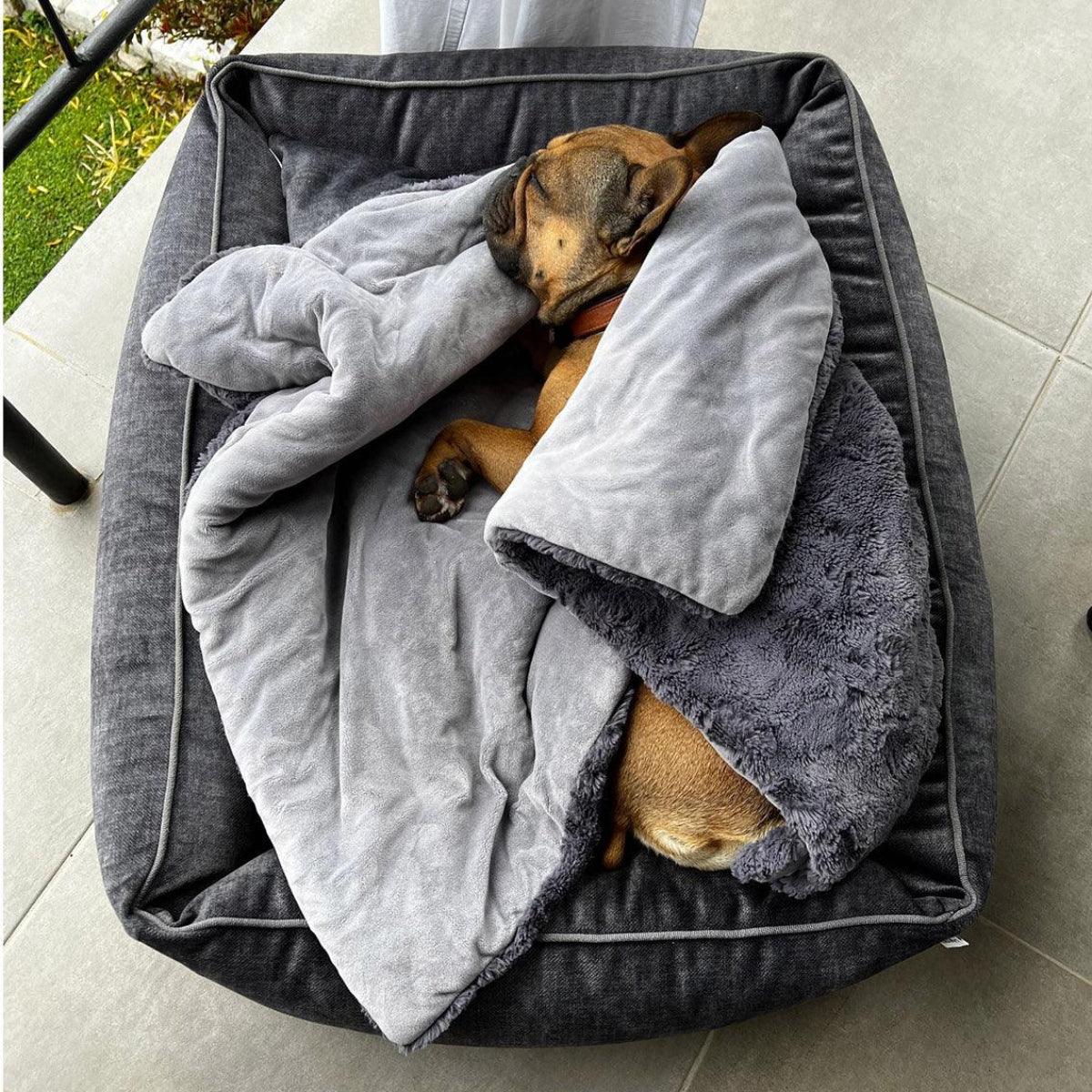 Panier pour chien design - GLAM - Kasibe