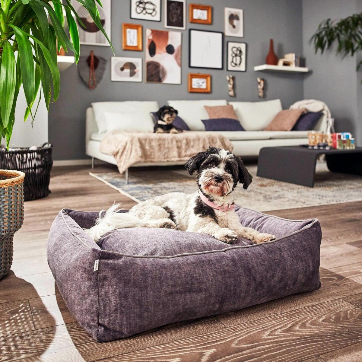 Panier pour chien design - GLAM - Kasibe