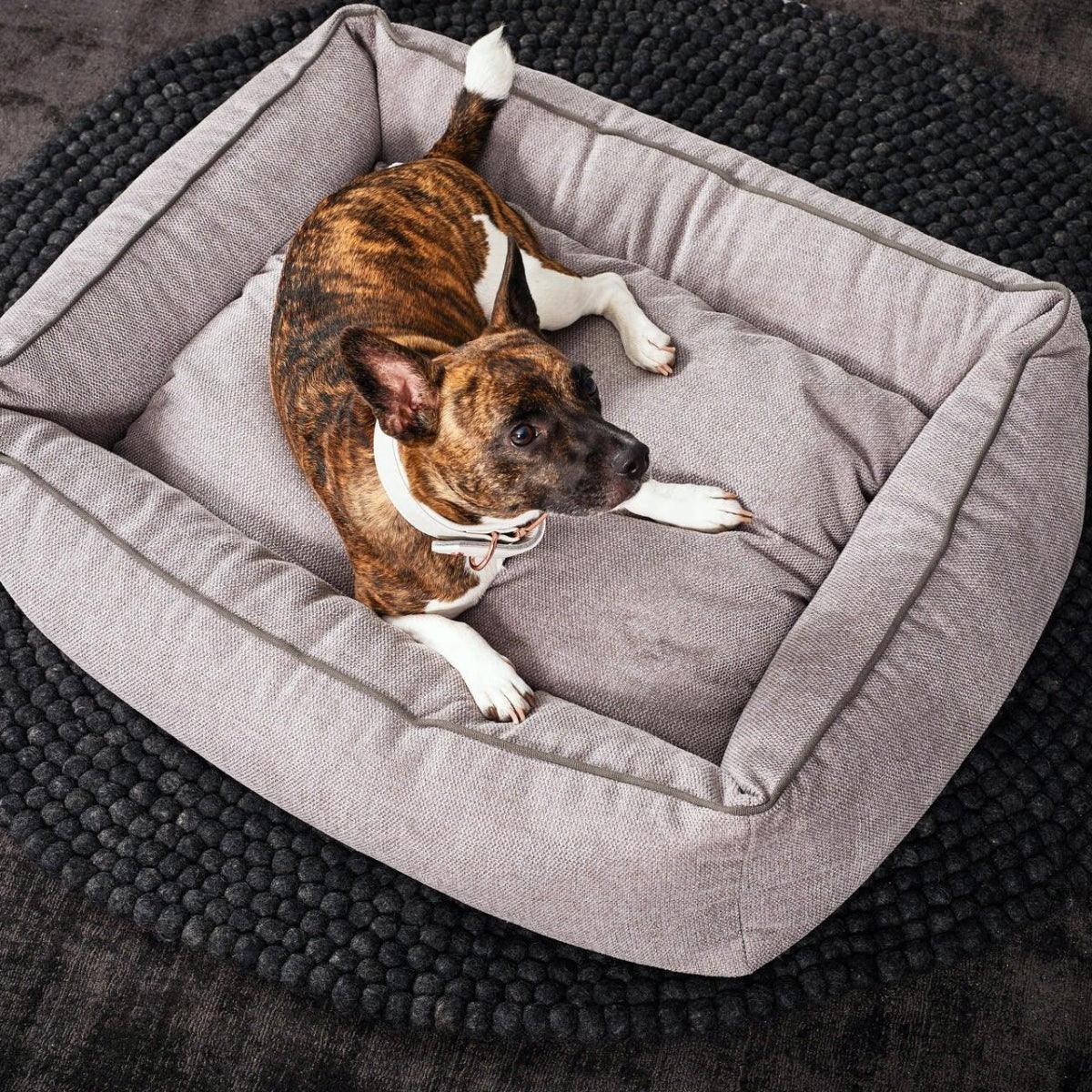 Panier pour chien écologique - ECO - Kasibe