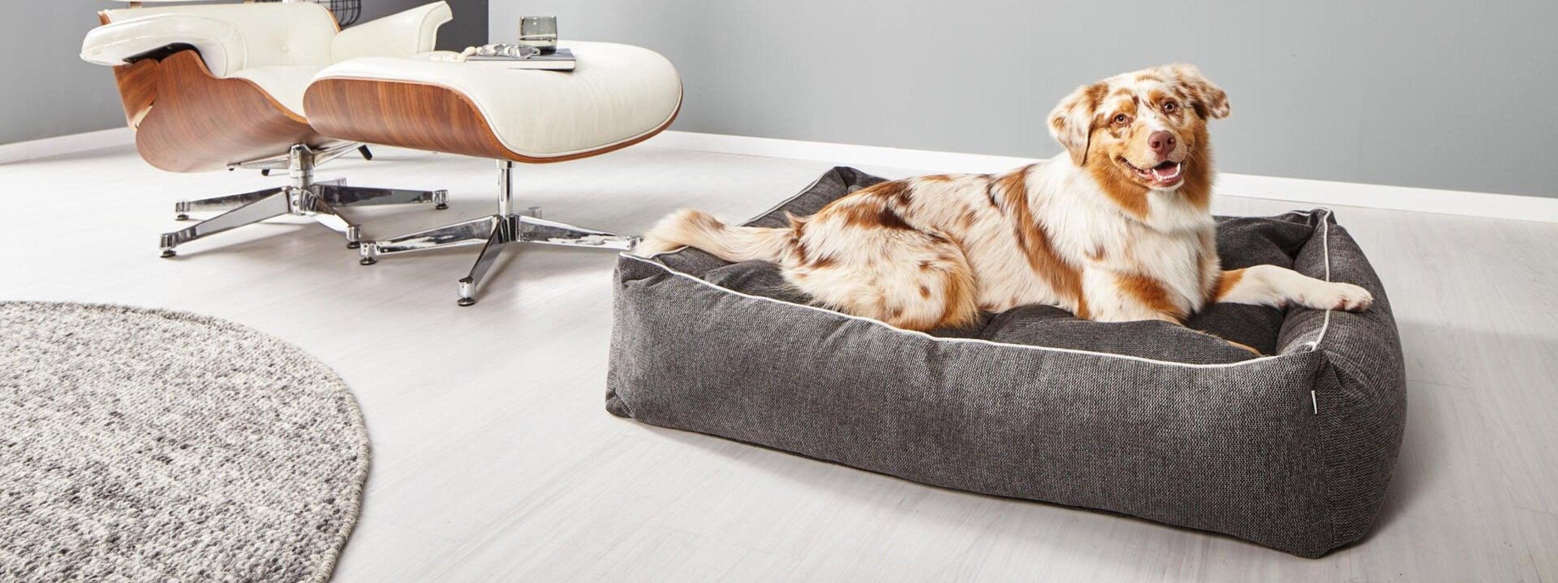 Panier pour chien écologique - ECO - Kasibe