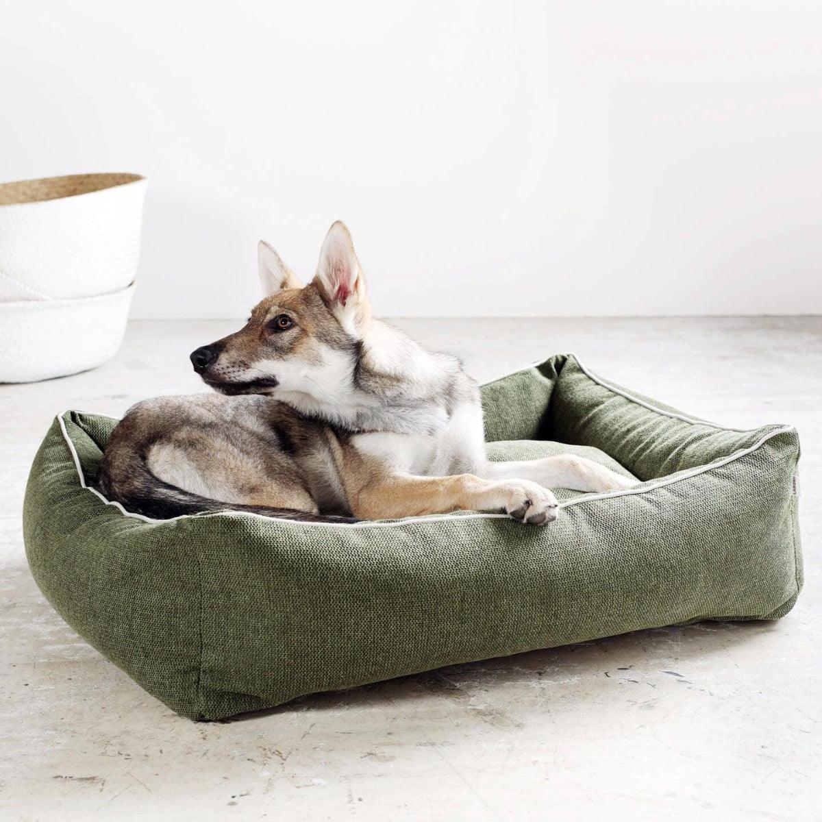 Panier pour chien écologique - ECO - Kasibe