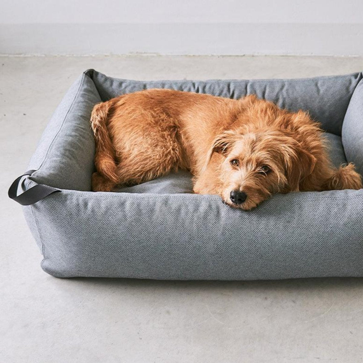 Panier pour chien en plastique marin recyclé - MARE - Kasibe