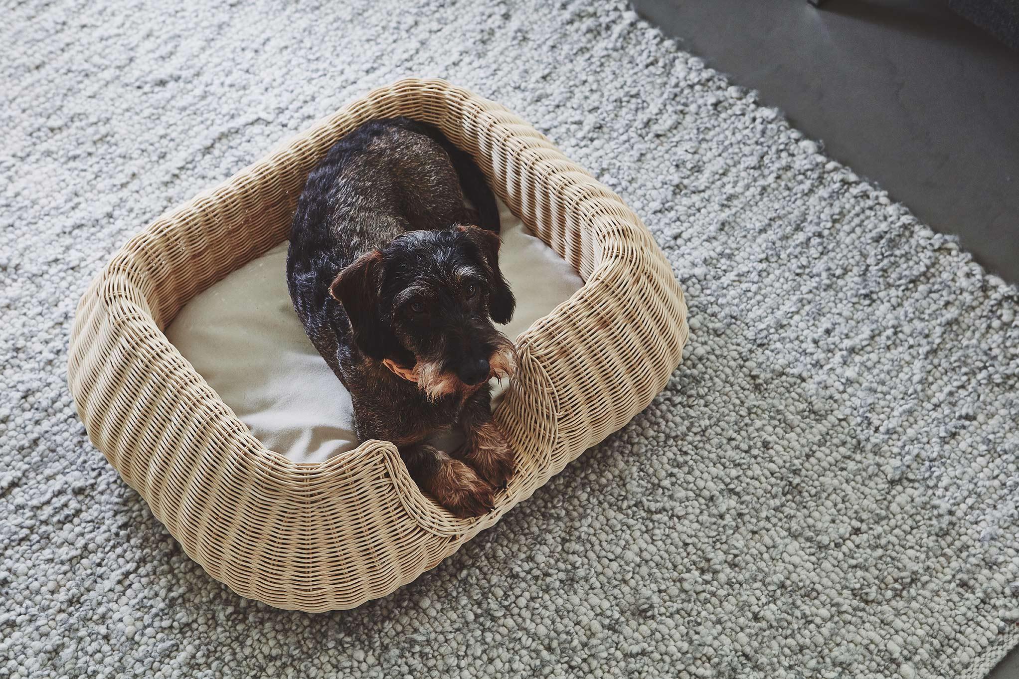 Panier pour chien en rotin - MIO - Kasibe