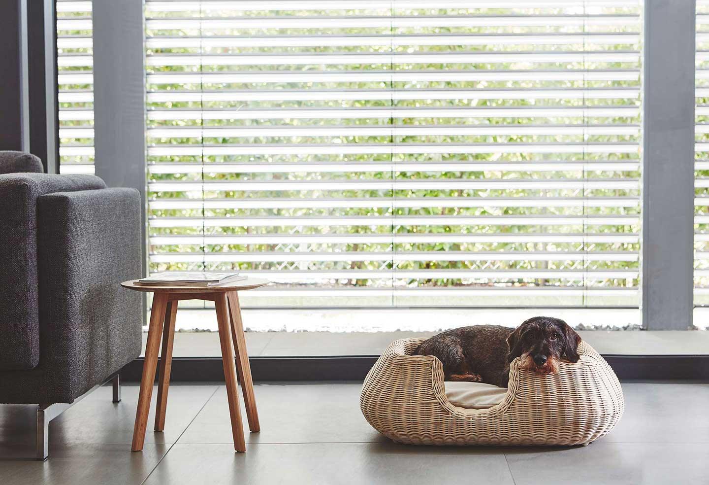 Panier pour chien en rotin - MIO - Kasibe