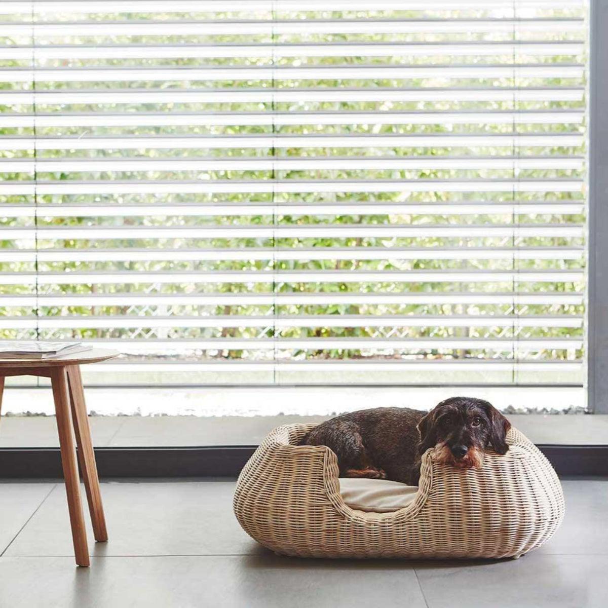 Panier pour chien en rotin - MIO - Kasibe
