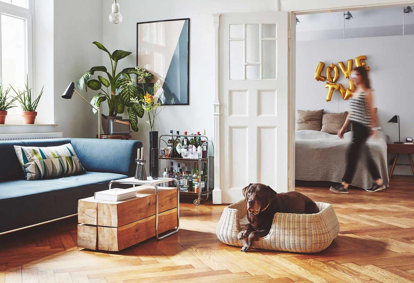 Panier pour chien en rotin - MIO - Kasibe
