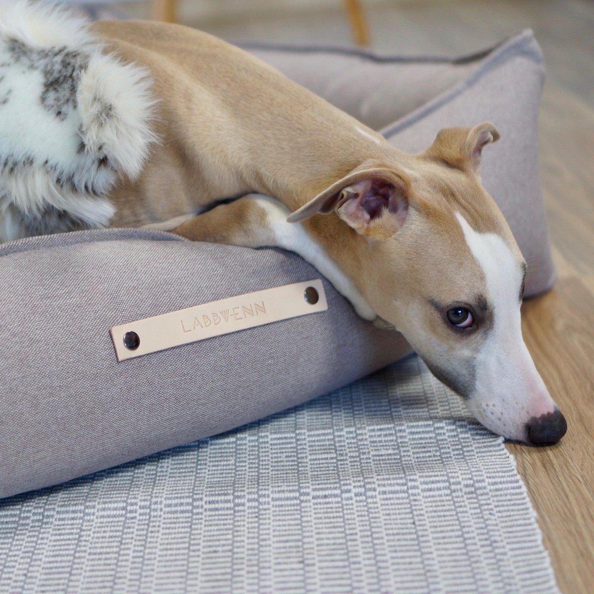 Panier pour chien en tissu - TOVE - Kasibe