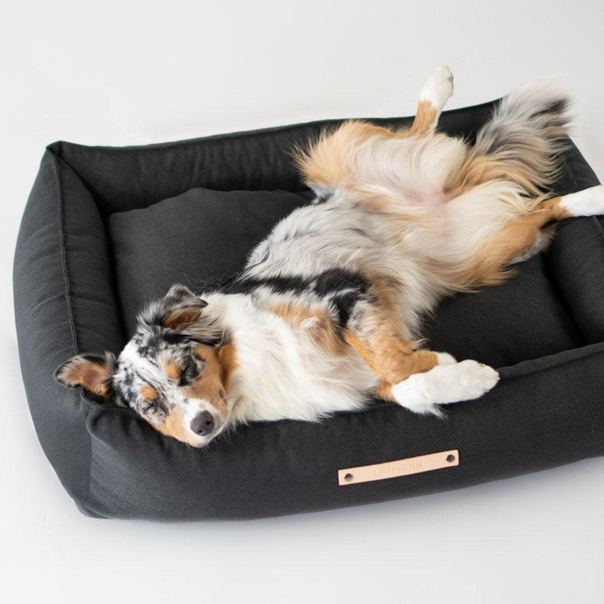 Panier pour chien en tissu - TOVE - Kasibe