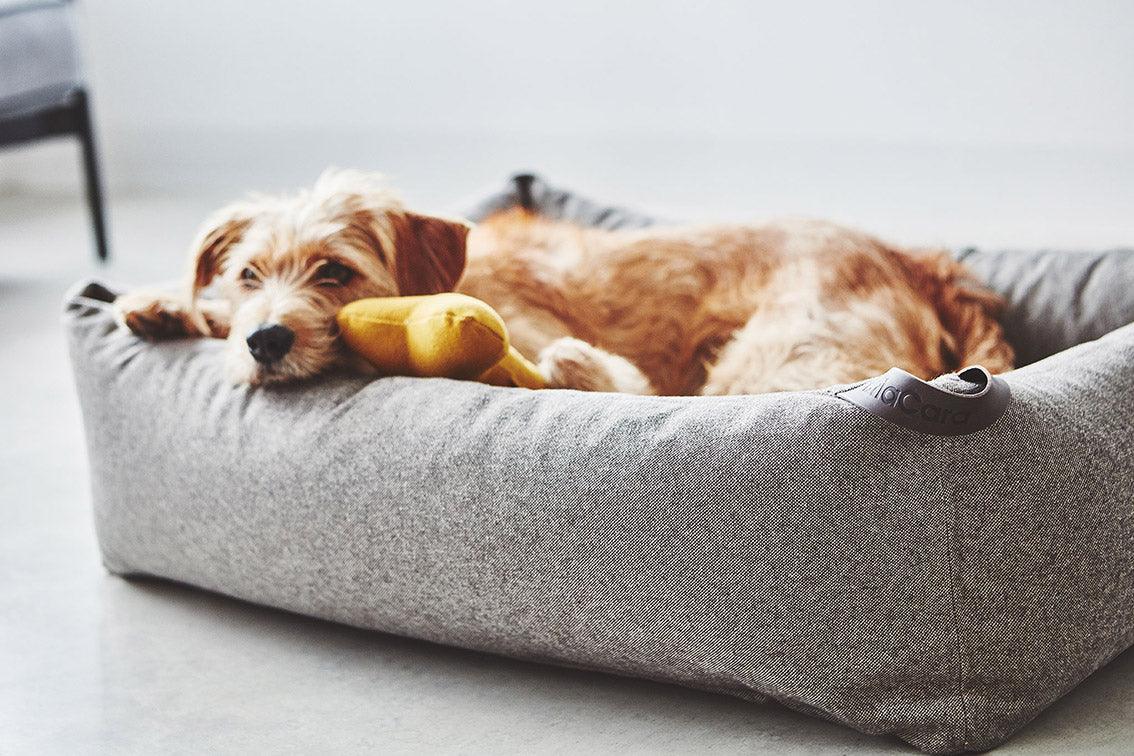 Panier pour chien facile à laver - STELLA - Kasibe