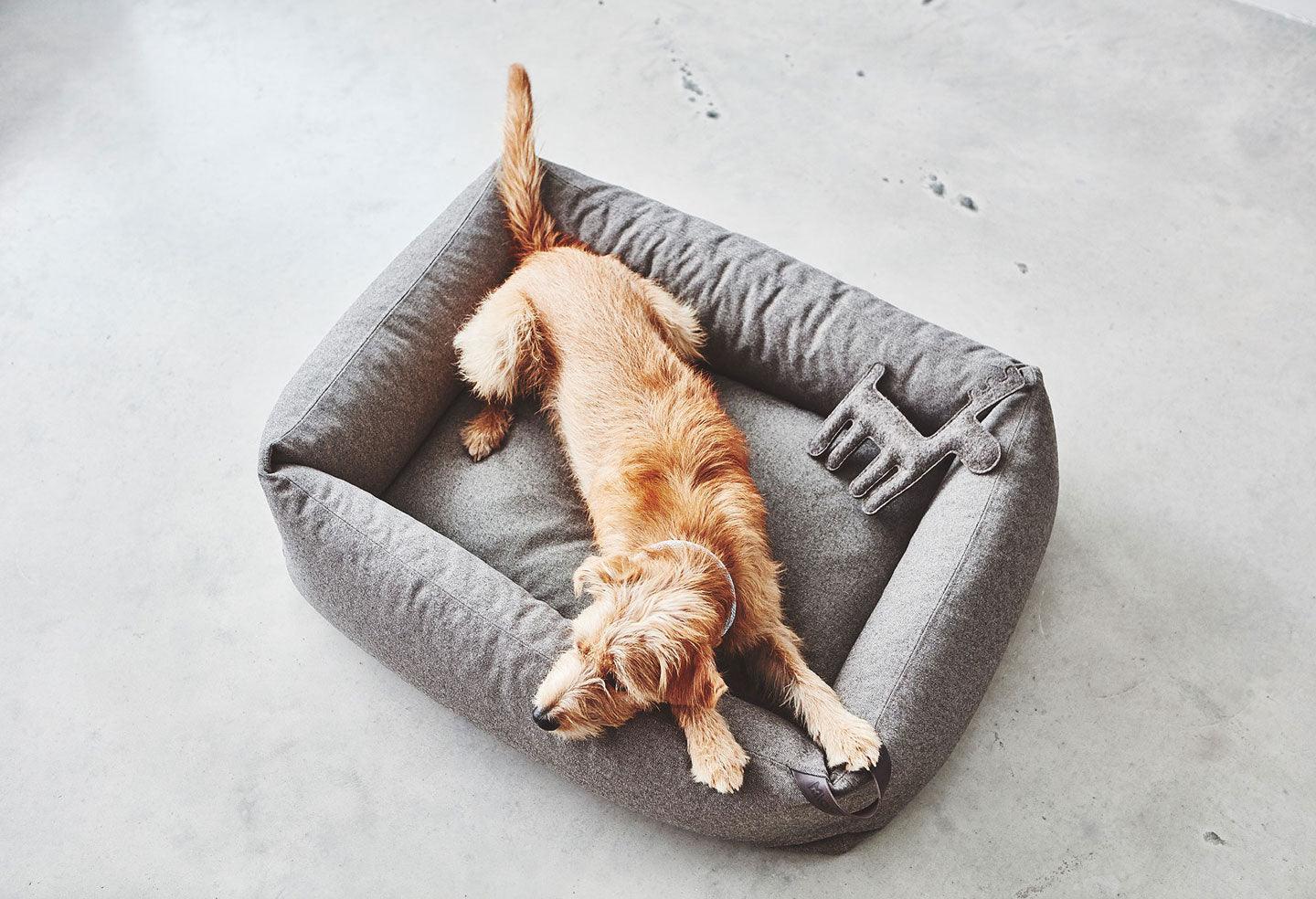 Panier pour chien facile à laver - STELLA - Kasibe