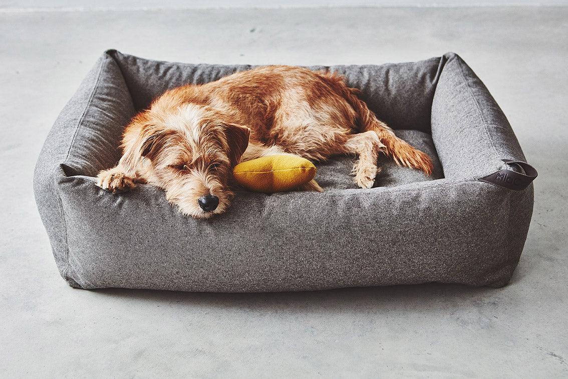 Panier pour chien facile à laver - STELLA - Kasibe