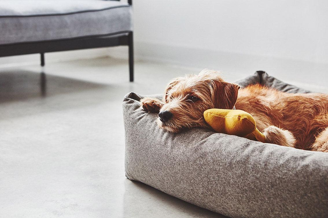 Panier pour chien facile à laver - STELLA - Kasibe