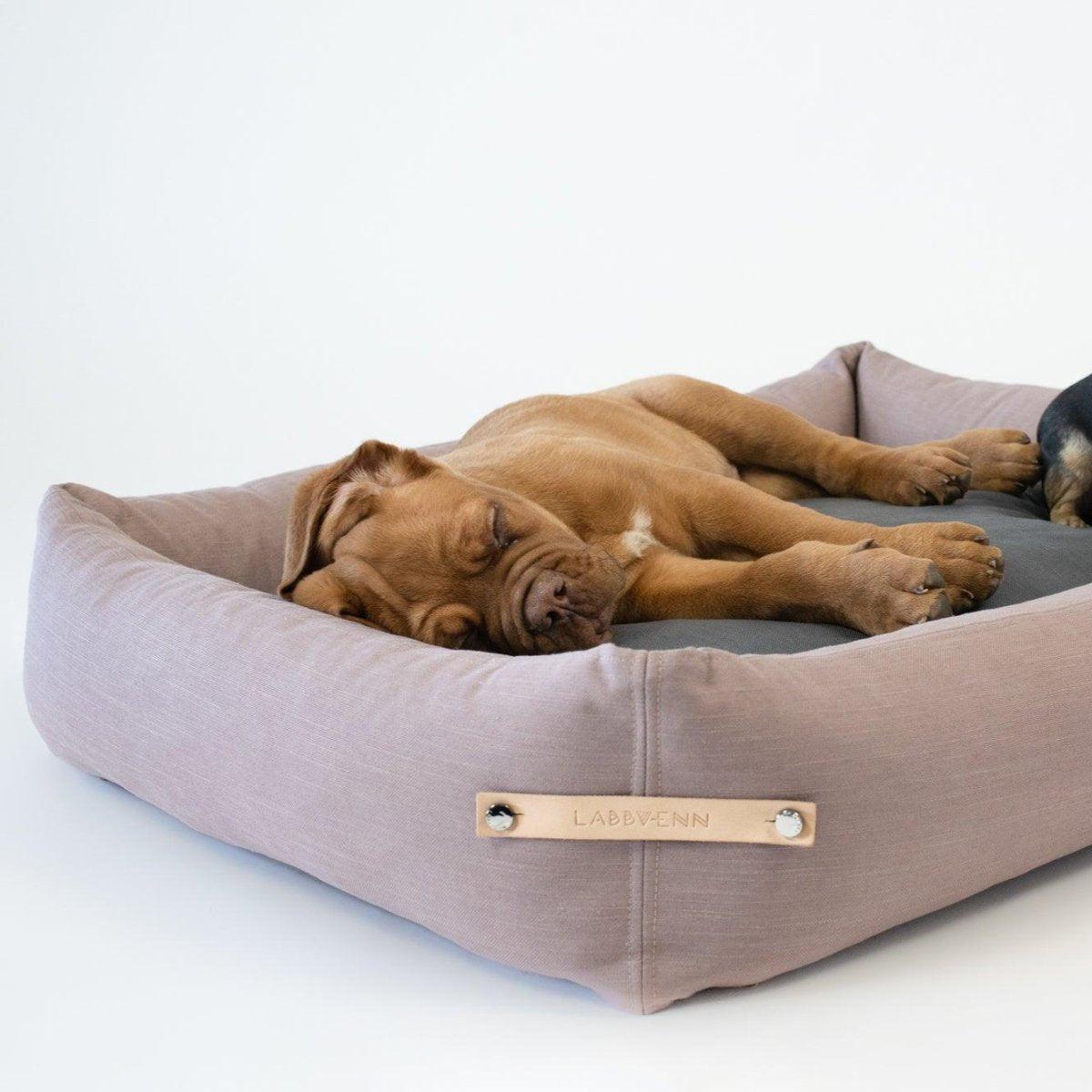 Panier pour chien orignal - STOKKE - Kasibe