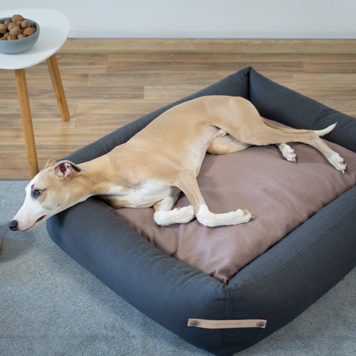 Panier pour chien orignal - STOKKE - Kasibe