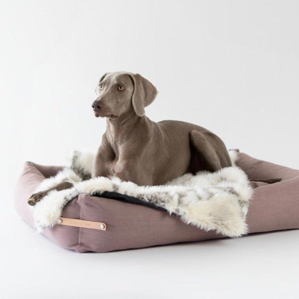 Panier pour chien orignal - STOKKE - Kasibe