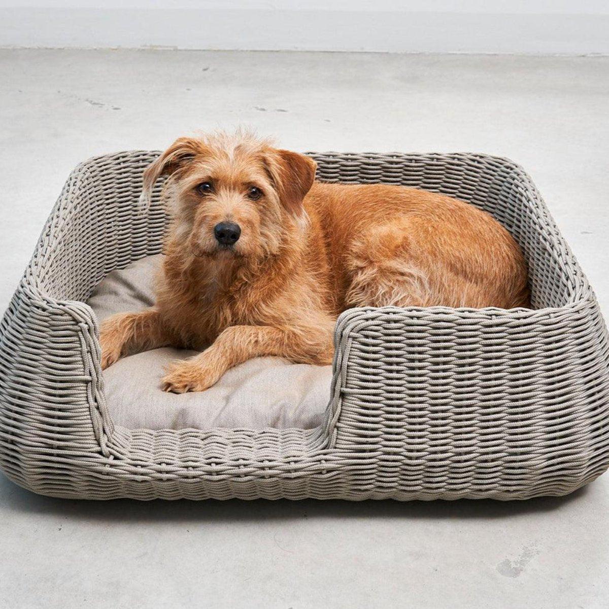 Panier pour chien ou chat tressé - MIO - Kasibe