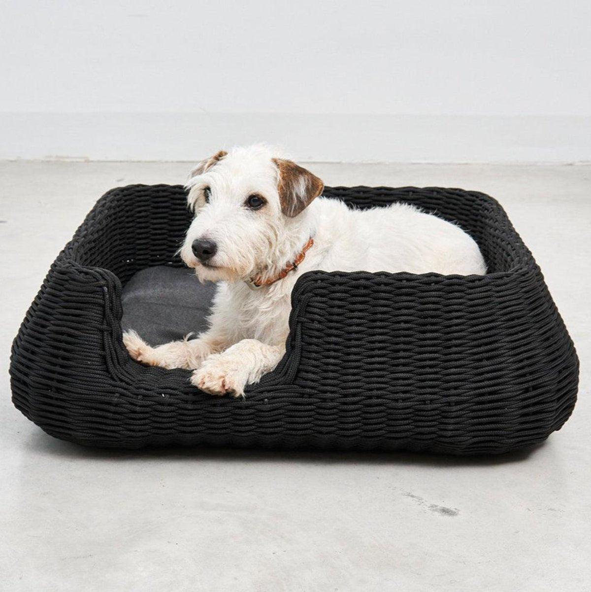Panier pour chien ou chat tressé - MIO - Kasibe