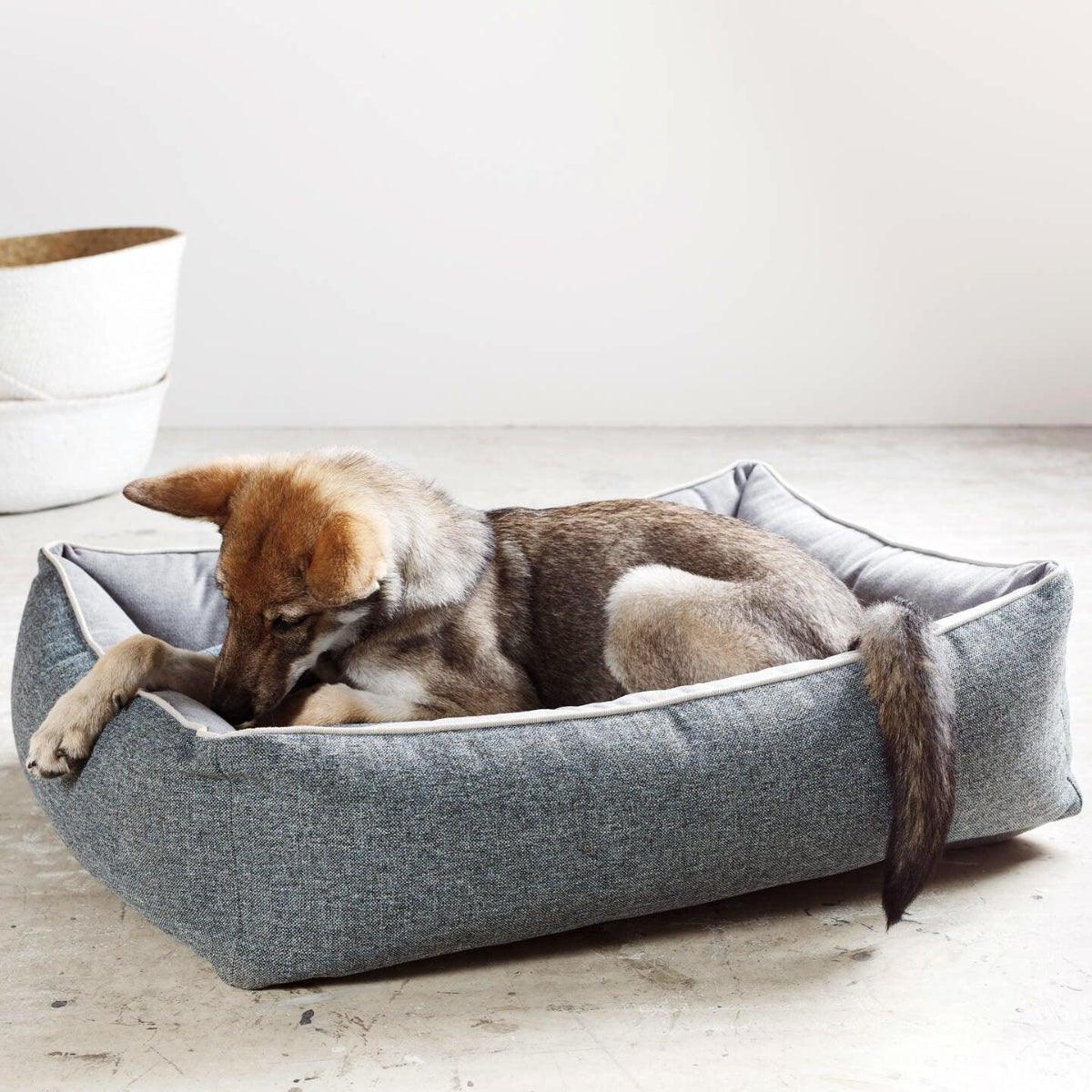 Panier pour chien rectangulaire - SCALA - Kasibe