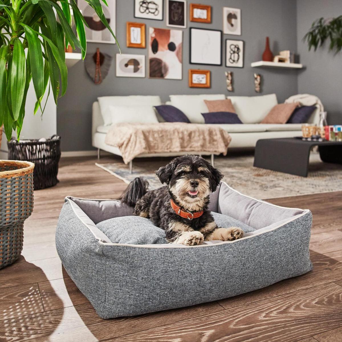 Panier pour chien rectangulaire - SCALA - Kasibe