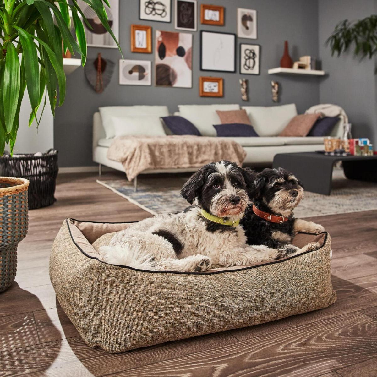 Panier pour chien rectangulaire - SCALA - Kasibe