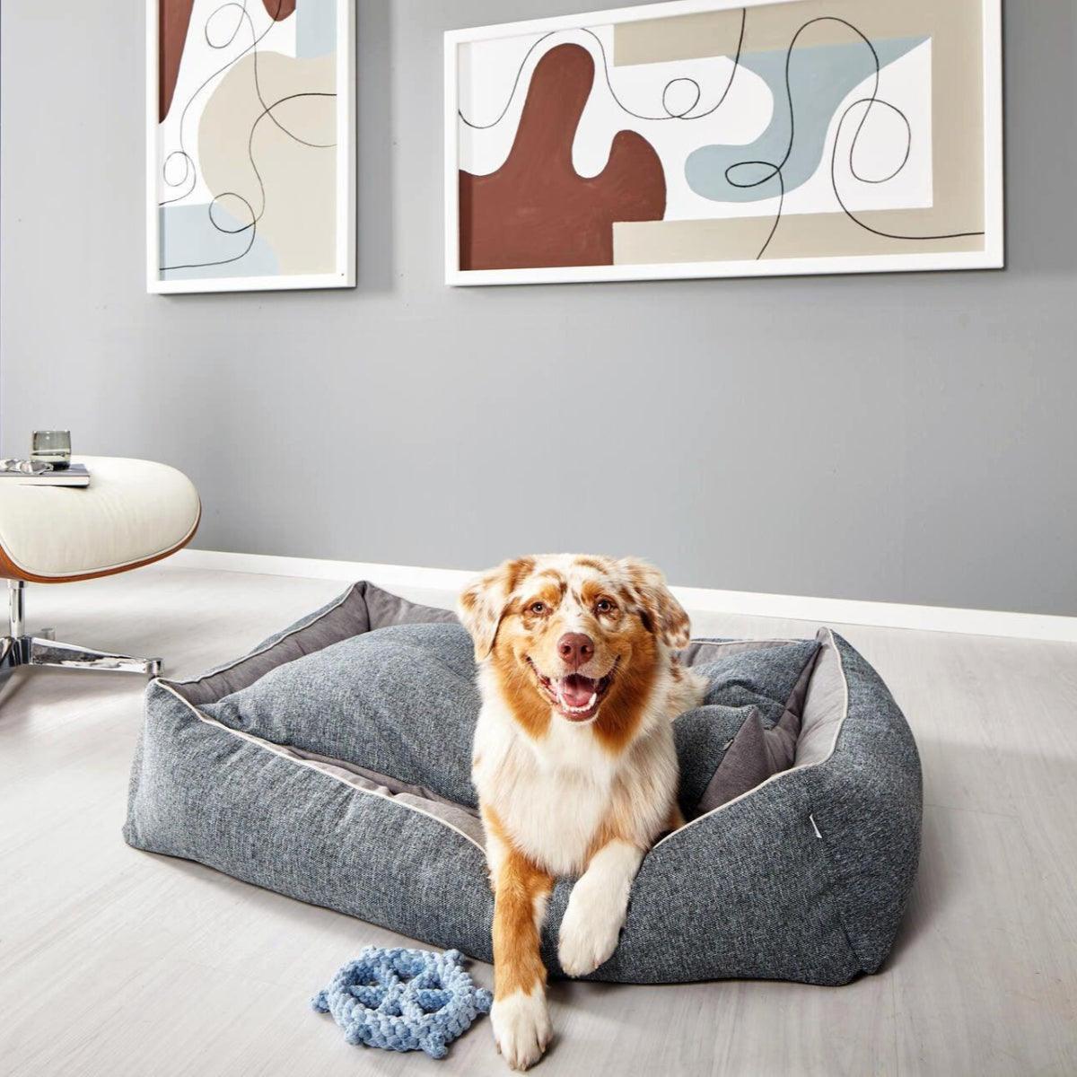 Panier pour chien rectangulaire - SCALA - Kasibe