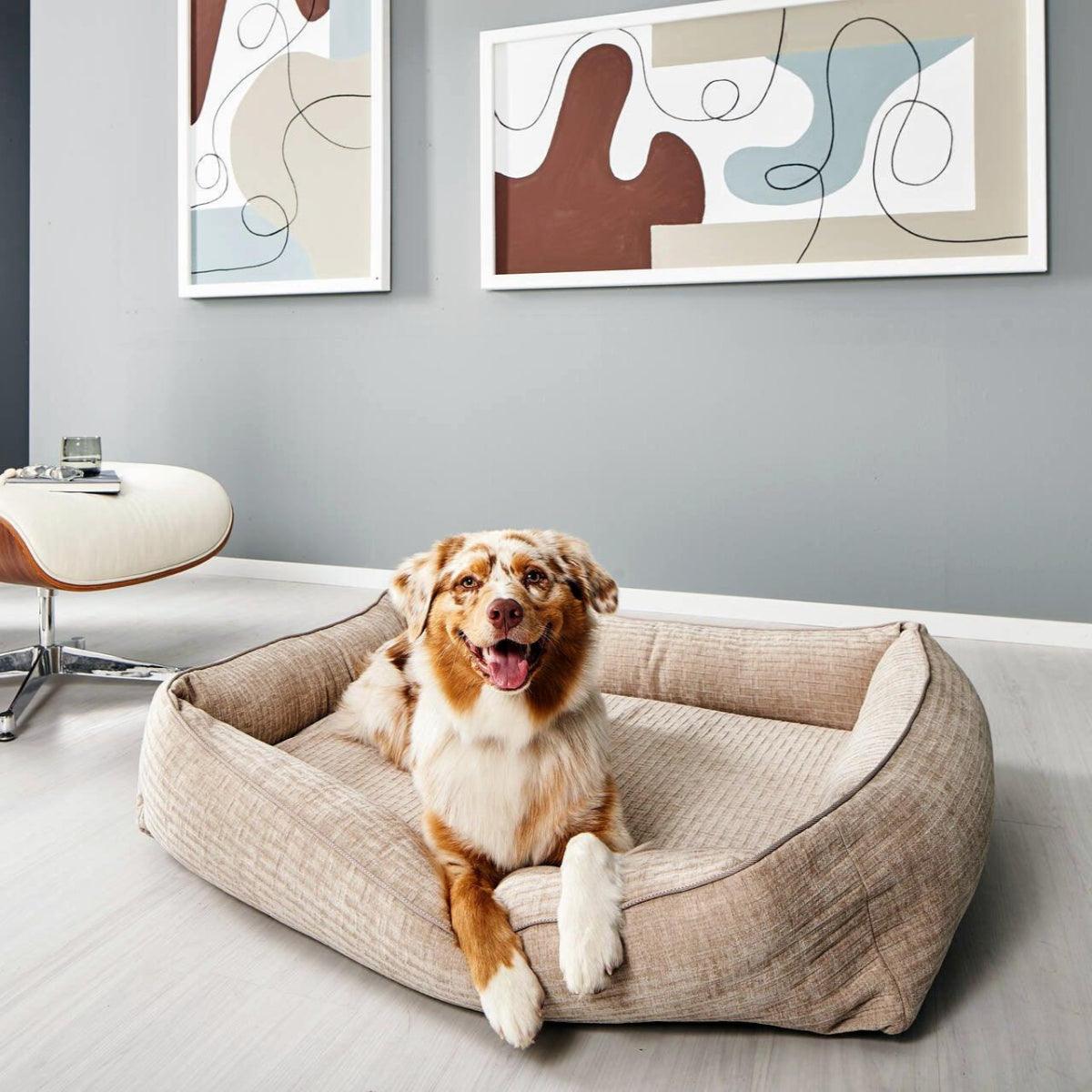 Panier pour chien résistant - NOVA - Kasibe