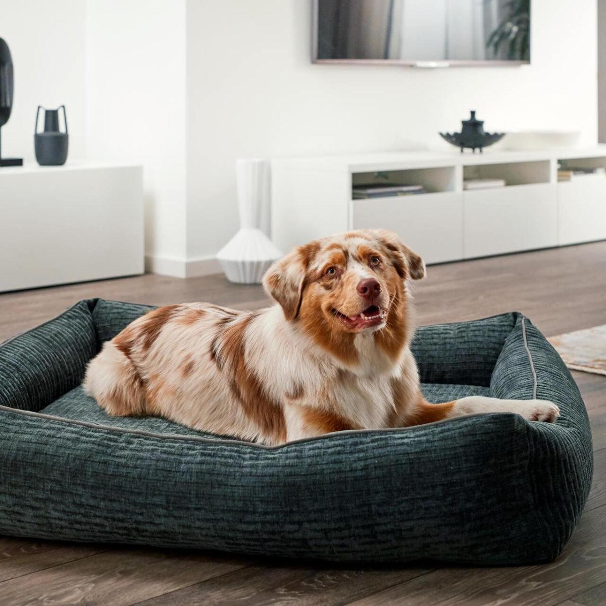 Panier pour chien résistant - NOVA - Kasibe