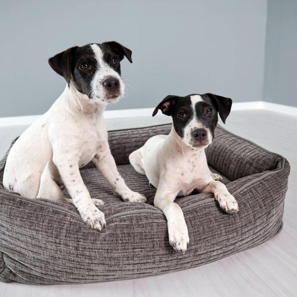 Panier pour chien résistant - NOVA - Kasibe