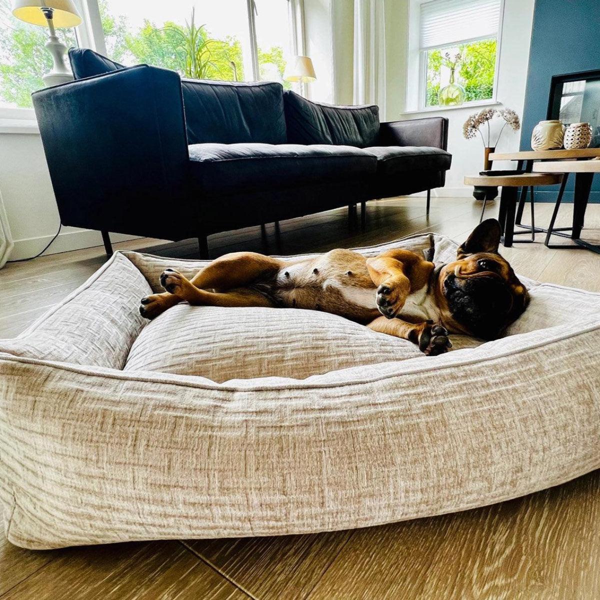Panier pour chien résistant - NOVA - Kasibe