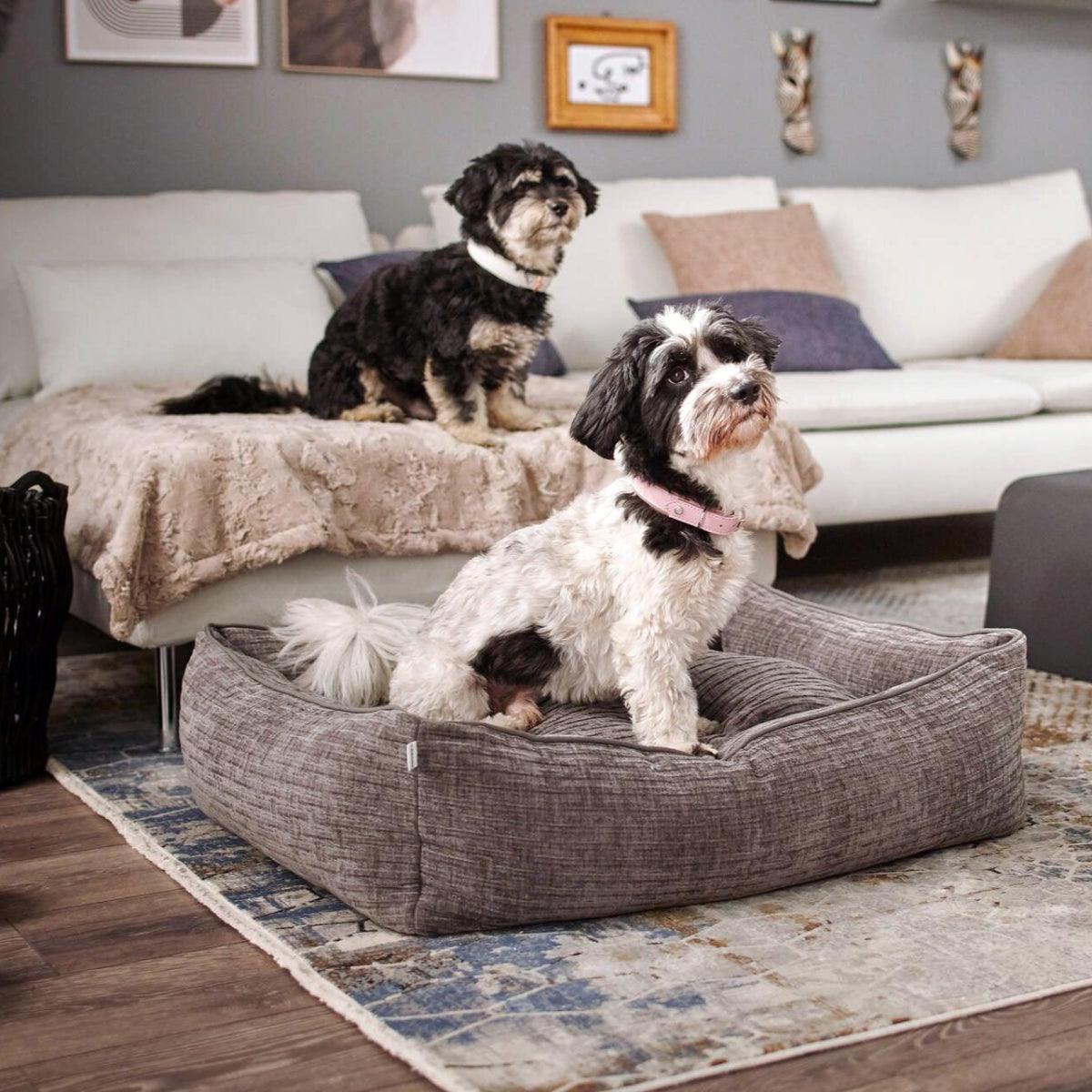 Panier pour chien résistant - NOVA - Kasibe