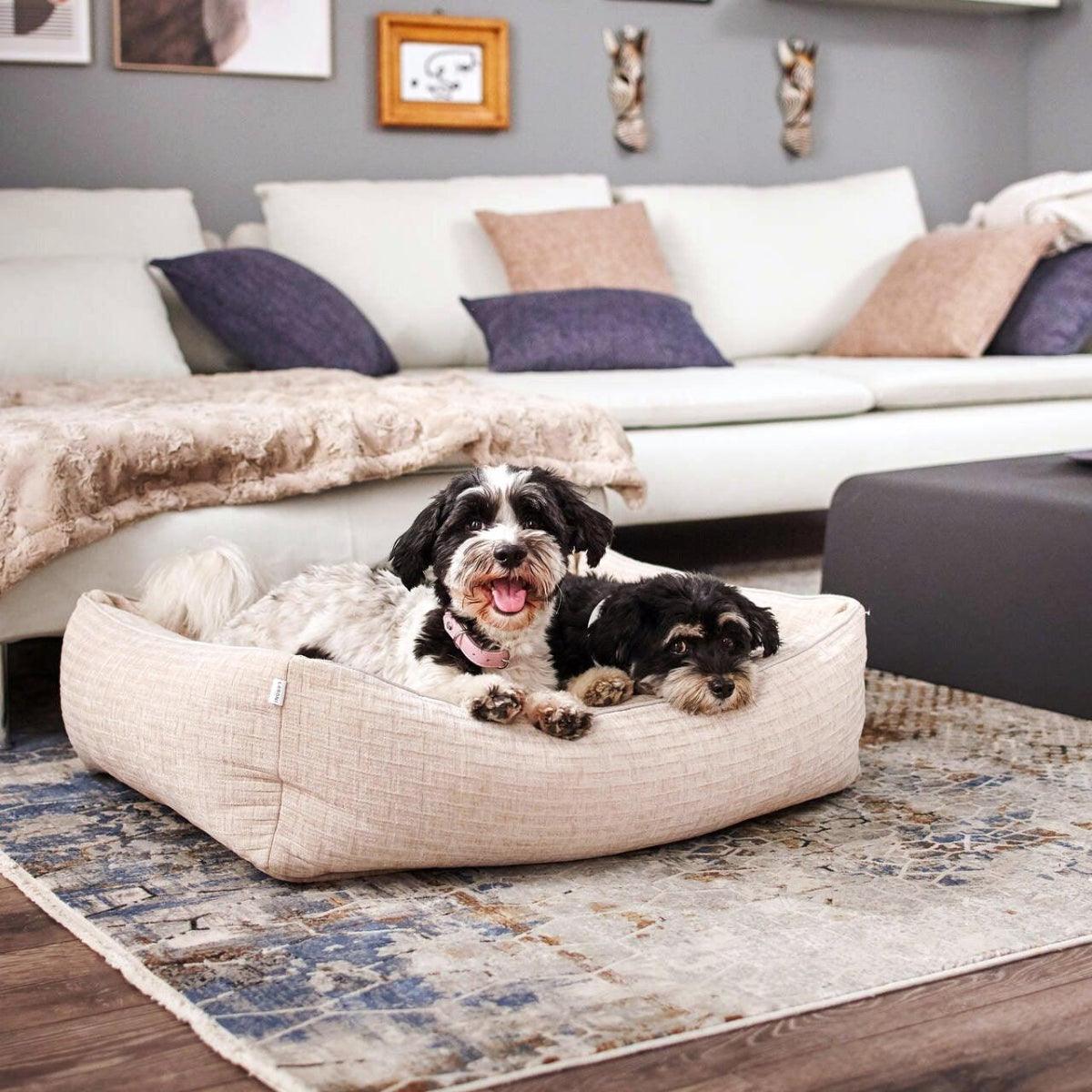 Panier pour chien résistant - NOVA - Kasibe