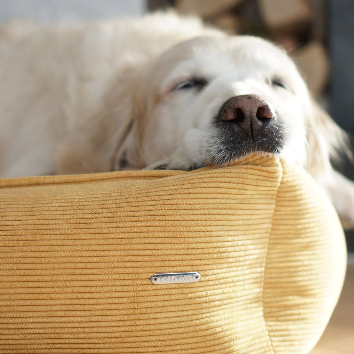 Panier pour chien velours - STRIPPO - Kasibe