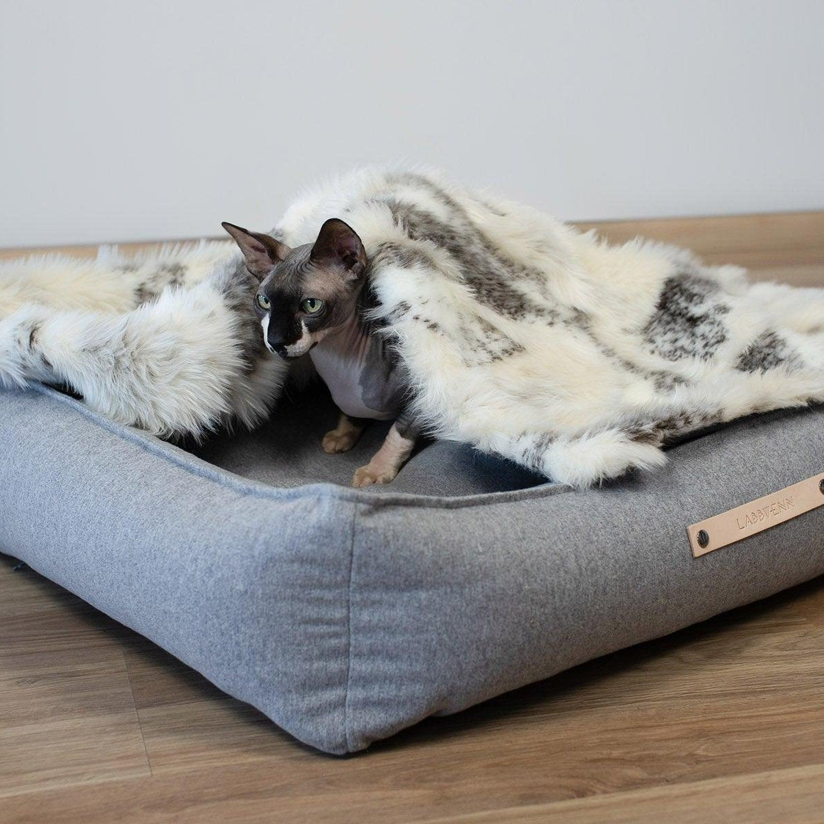 Panier rectangulaire pour chien - MOVIK - Kasibe