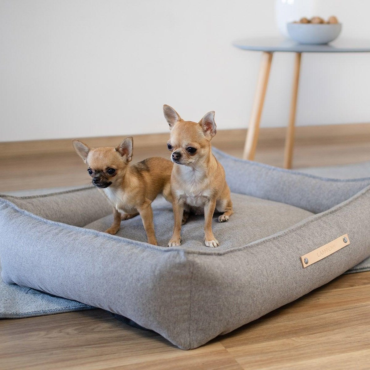 Panier rectangulaire pour chien - MOVIK - Kasibe