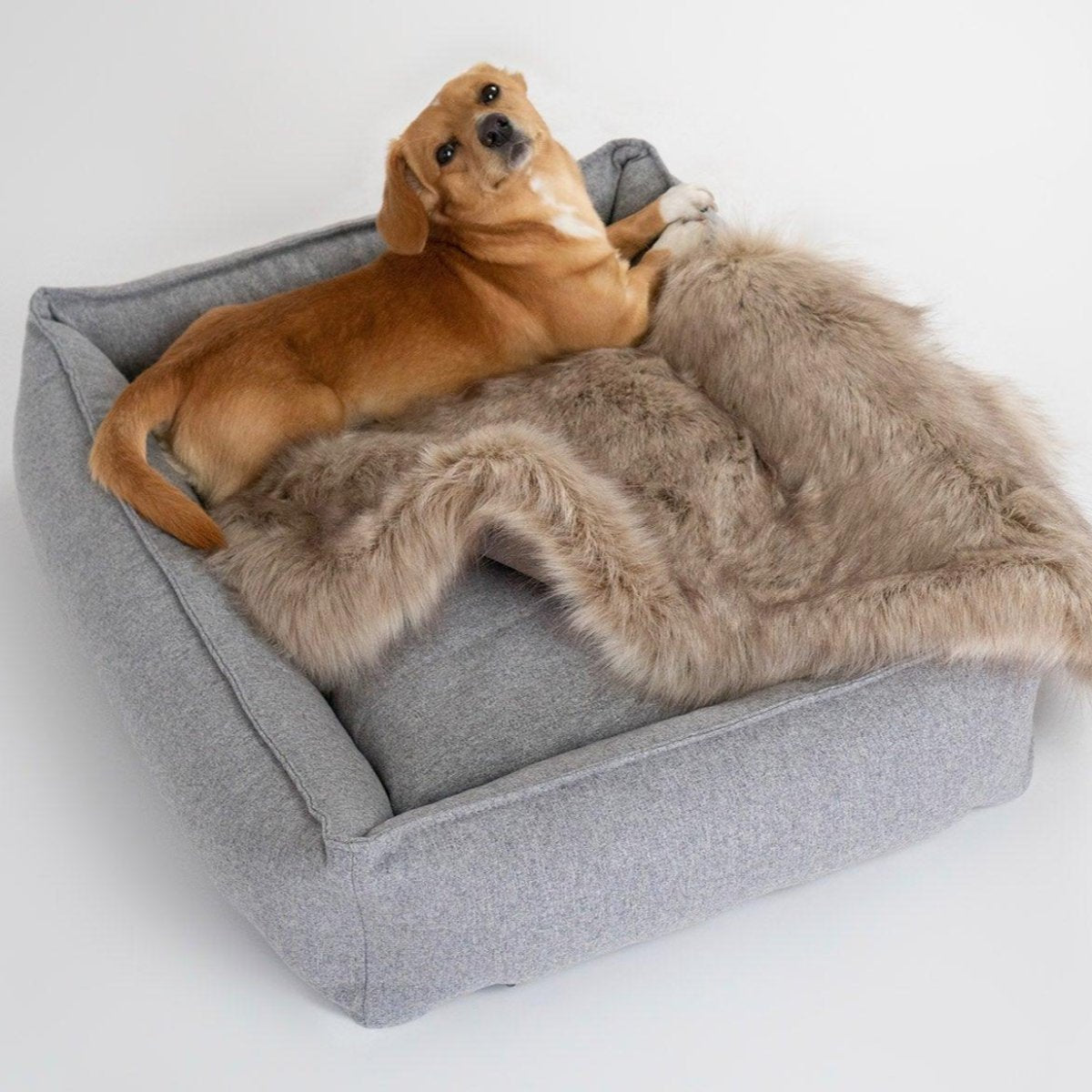 Panier rectangulaire pour chien - MOVIK - Kasibe